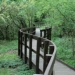 Boardwalk-with-fencing-at-Thornley-Woods-920x600 - Marmax Recycled Plastic Products - Manufactured in the UK